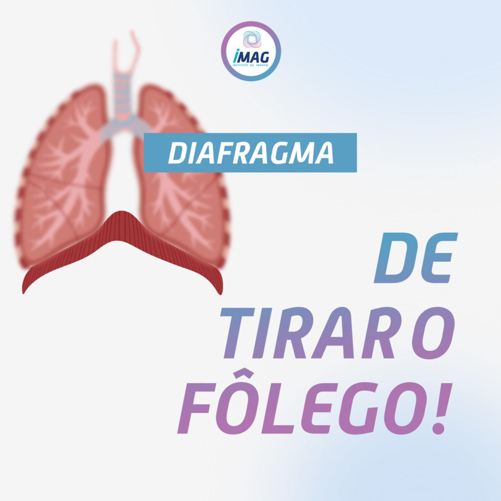 Diafragma de Tirar o Fôlego - Anatomia do Diafragma - IMAG