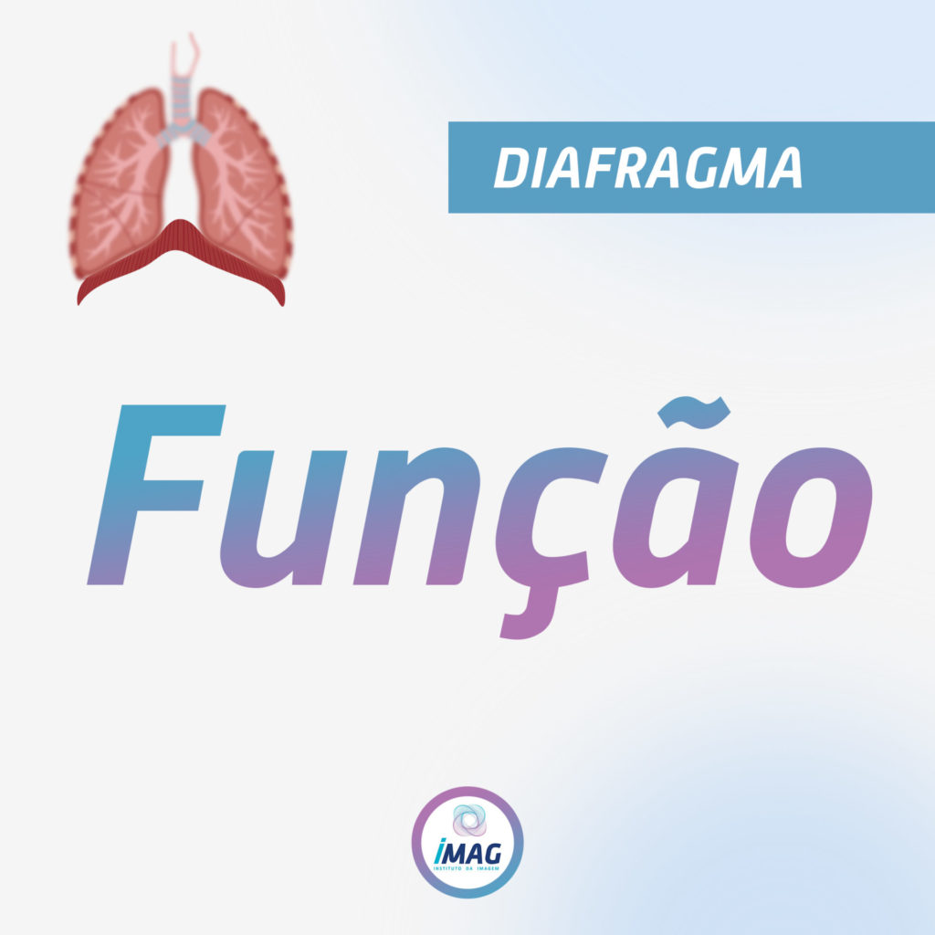 Função - Anatomia do Diafragma - IMAG