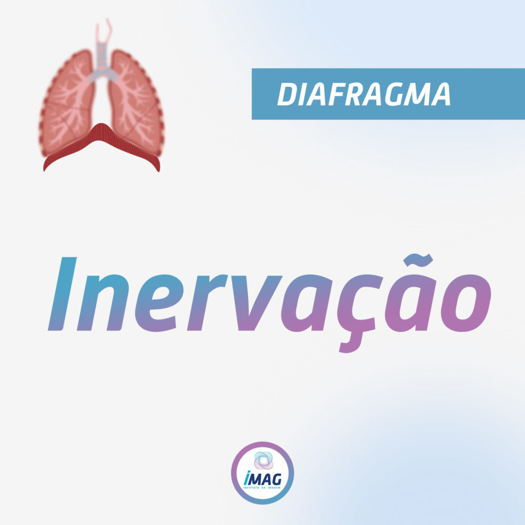 Invervação - Anatomia do Diafragma - IMAG
